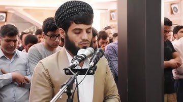 تلاوة مباركة لسورة التين / رعد الكردي وفقه الله