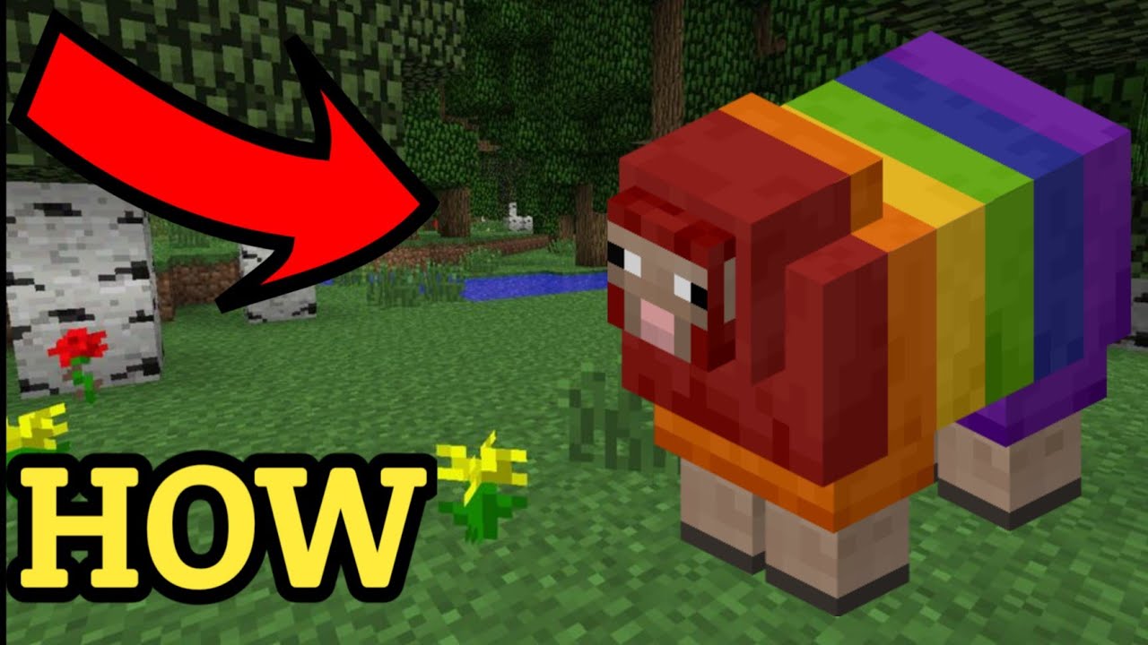 RAINBOW SHEEP | MINECRAFT #Shorts - YouTube