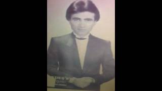 Alirıza Gündoğdu Karşi Bağda Sira Bademler Hayaimdan Küçük Bi̇r Kesi̇t