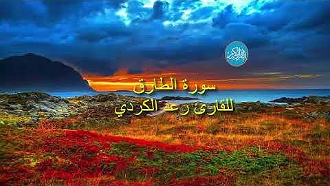 سورة الطارق للقارئ رعد الكردي