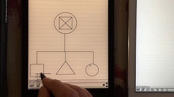 Newton Messagepad Real Hardware vs Einstein Emulator on iOS and Android