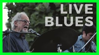 Black Cat Bone 🦴 - Live Blues Rock Session [ 2021]