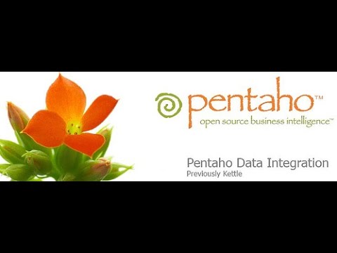 Pentaho data integration tool (Kettle) Pentaho data integration tool (Kettle)