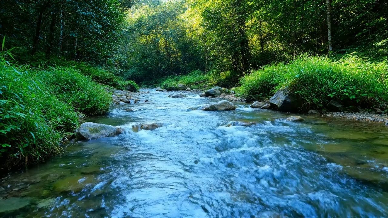 Mental Reset – Beautiful Enchanted Water River Sound by Rocky Stream – Focus Better