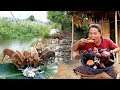 survival in the rainforest - woman finding ipomoea batatas and fish for dog - Eating delicious