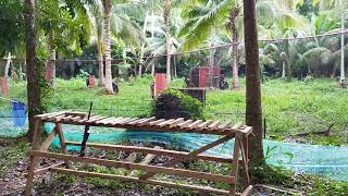 Boak Vs Catag Airsoft Friendly Game 1