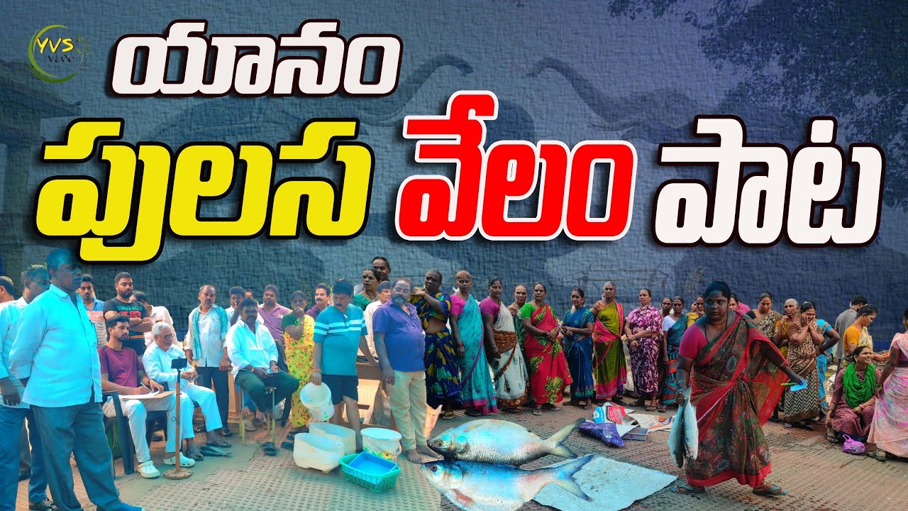 🐟🛶 యానం పులస వేలంపాట // Yanam // Pulasa Fish Rate In Yanam Market #పులస #yvsvlog #fishmarket #vlog