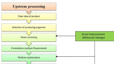 Upstream Processing