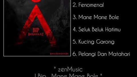 Bip . Mane Mane Bole (Audio Lyric) | zenMF channel