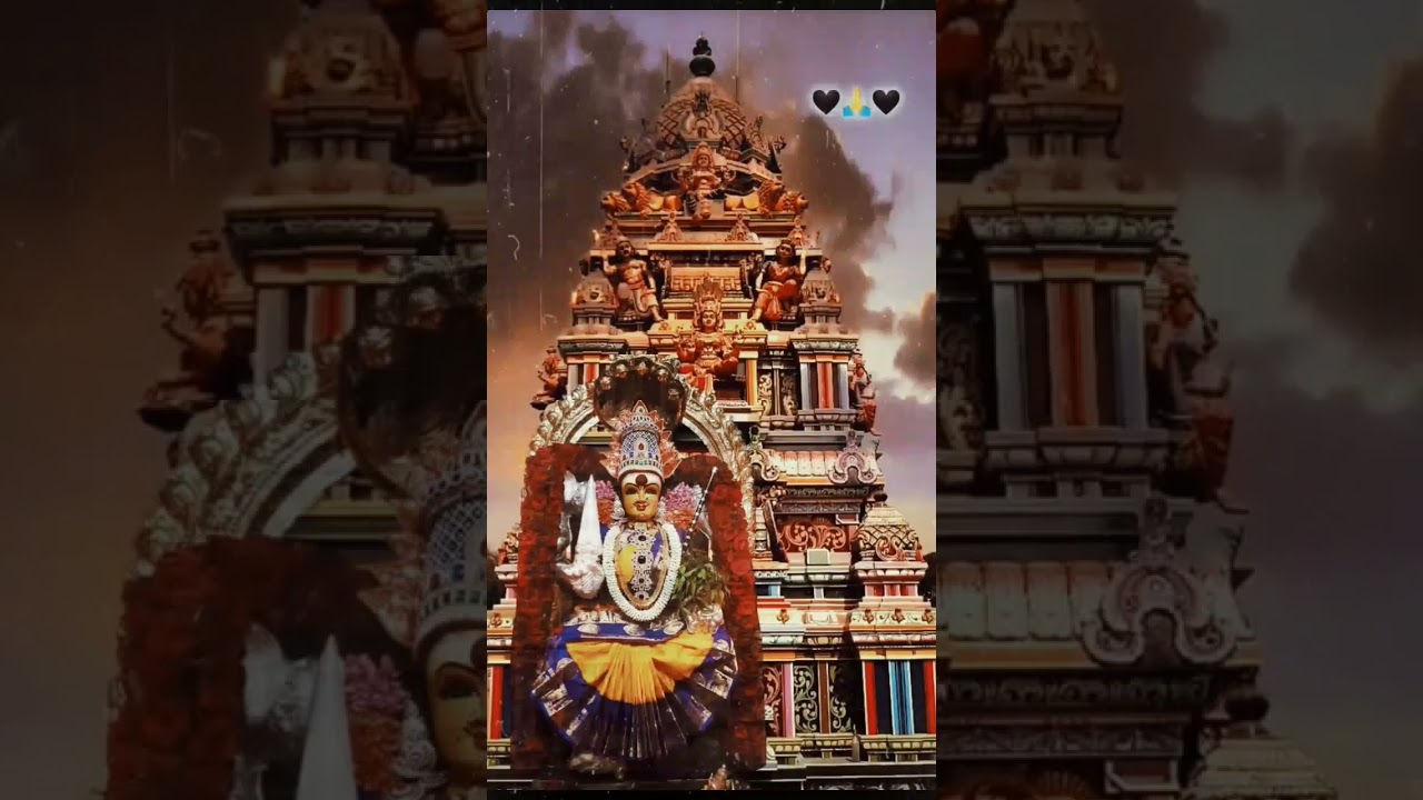 E.sector cheeta camp trombay Mumbai 88