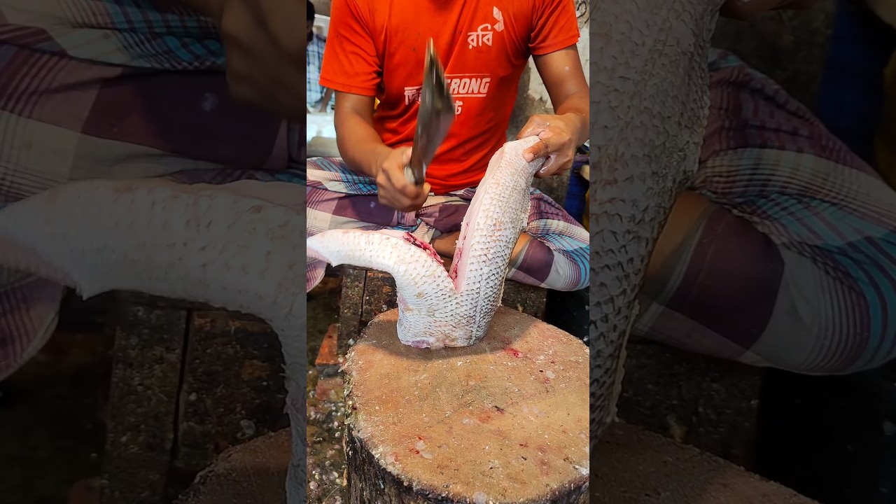 Delicious Salmon (Lakka) Fish Cutting Skills In Bangladesh Local Fish Market 