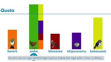 STV explained for Nelson: How the results are decided (Te Reo Māori)