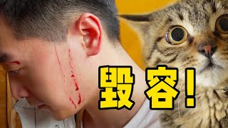 【和貓住】(ENG SUB)養 貓 嗎血 淋 淋 毀 容 那 種