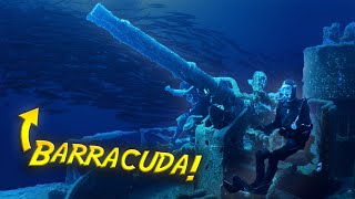 Download Lagu Massive Shipwreck surrounded by BARRACUDA in Portugal! MP3