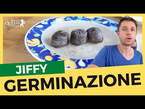 Video: Semi che germinano rapidamente – Iniziare i semi all'interno durante la quarantena