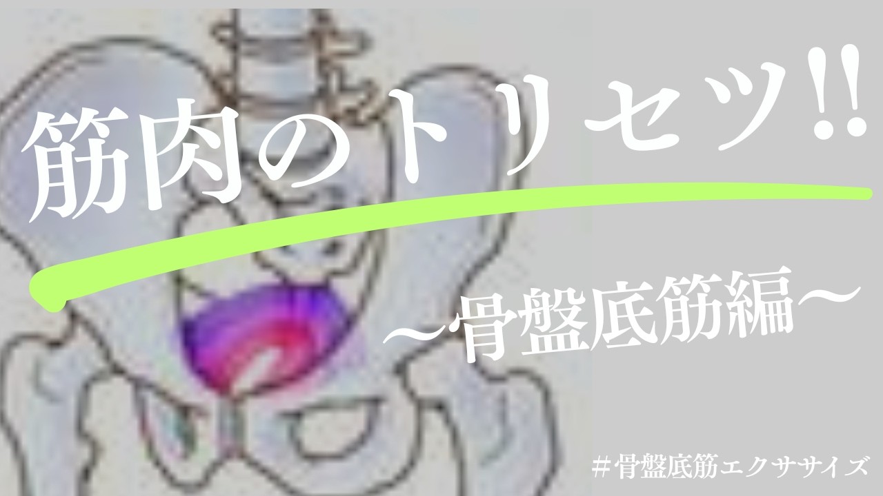 骨盤底筋体操‼︎ - YouTube