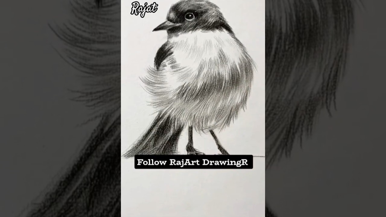 how to draw a bird easy🐦✏️