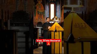 Vino, Sfinte Nectarie!  - @pr.vladrosu #rugaciune #vladrosu #byzantine #spiridon_nou #acatiste