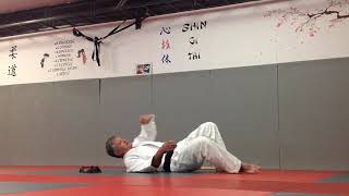 Cours en visio par Luc Bouchareu Shihan : renforcement musculaire (partie 3)