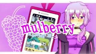 mulberry