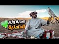 هدد طيور الامير ناصر في الشمال 