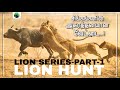 Lion hunt  lion series  part1  tamil  how lions hunting and eating their prey  lion  bioworld