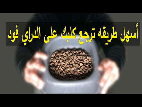أسهل طريقه ترجع كلبك على الدراي فود