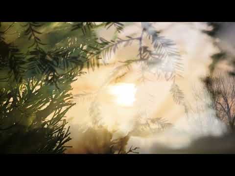   لحظه    دکتر علیرضا نوربخش