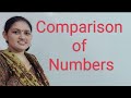 Comparison of Numbers II Conceptual Mathematics