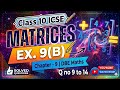 Matrices || Class 10 ICSE DBE Maths Chapter 9 Matrices Ex 9 B Q.no :- 9 to 14
