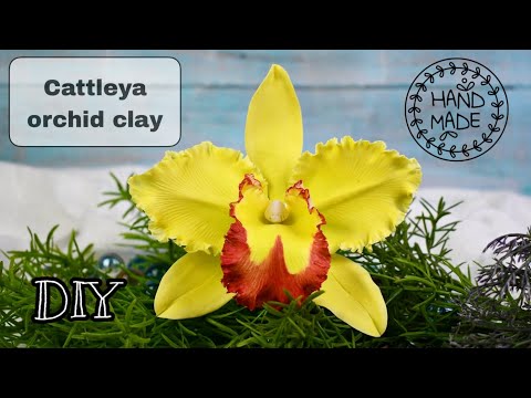 Video: Cattleya çiçek Nasıl Yapılır