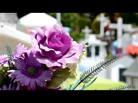 Video: Kada Se U Pravoslavnim Crkvama Ne Spominje Mrtvih