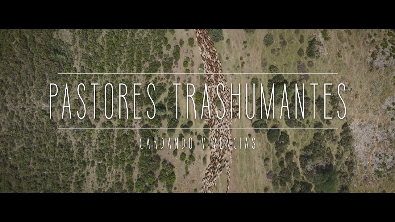 Pastores trashumantes - Cardando vivencias