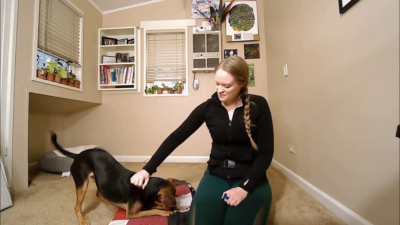 Nose to Hand Target YouTube