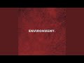 Environment mp3