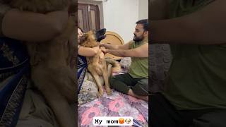 Dont Dare To Touch My Mom