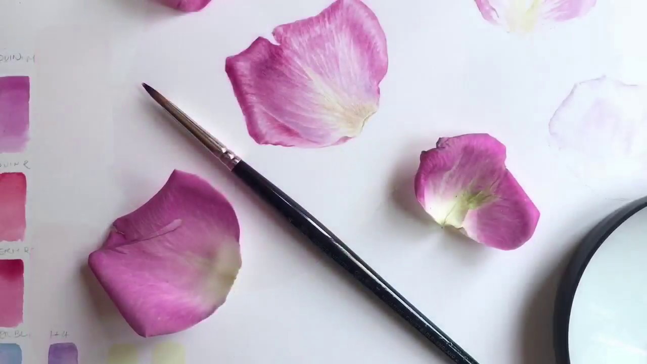 Painting a pink rose petal. - YouTube