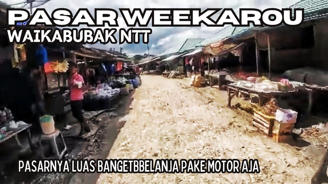 ИЗУЧИТЕ РЫНОК WEEKAROU | ВАЙКАБУБАК, ЗАПАДНАЯ СУМБА, NTT | ЧАСТЬ I