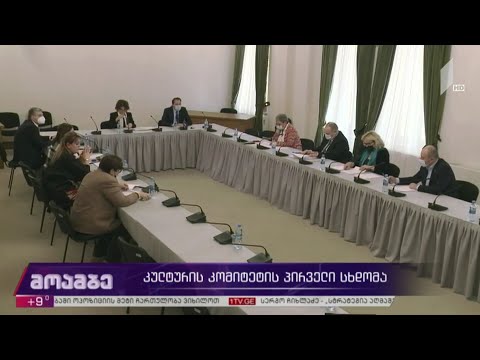 კულტურის კომიტეტის პირველი სხდომა