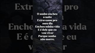 SONHOS NÃO MORRE, então SONHE. #reflexão @palavrasquecuram-gdn