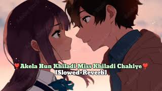 Akela Hun Khiladi Miss Khiladi Chahiye | Slowed Reverb | Lofi Songs | Mary Love Lofi |