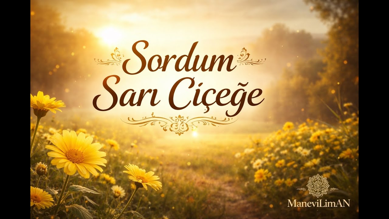Sordum Sarı Çiçeğe – İlahi | ManevîLiman