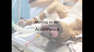 General Anesthetics and CNS Stimulants (VETERINARY TECHNICIAN EDUCATION)