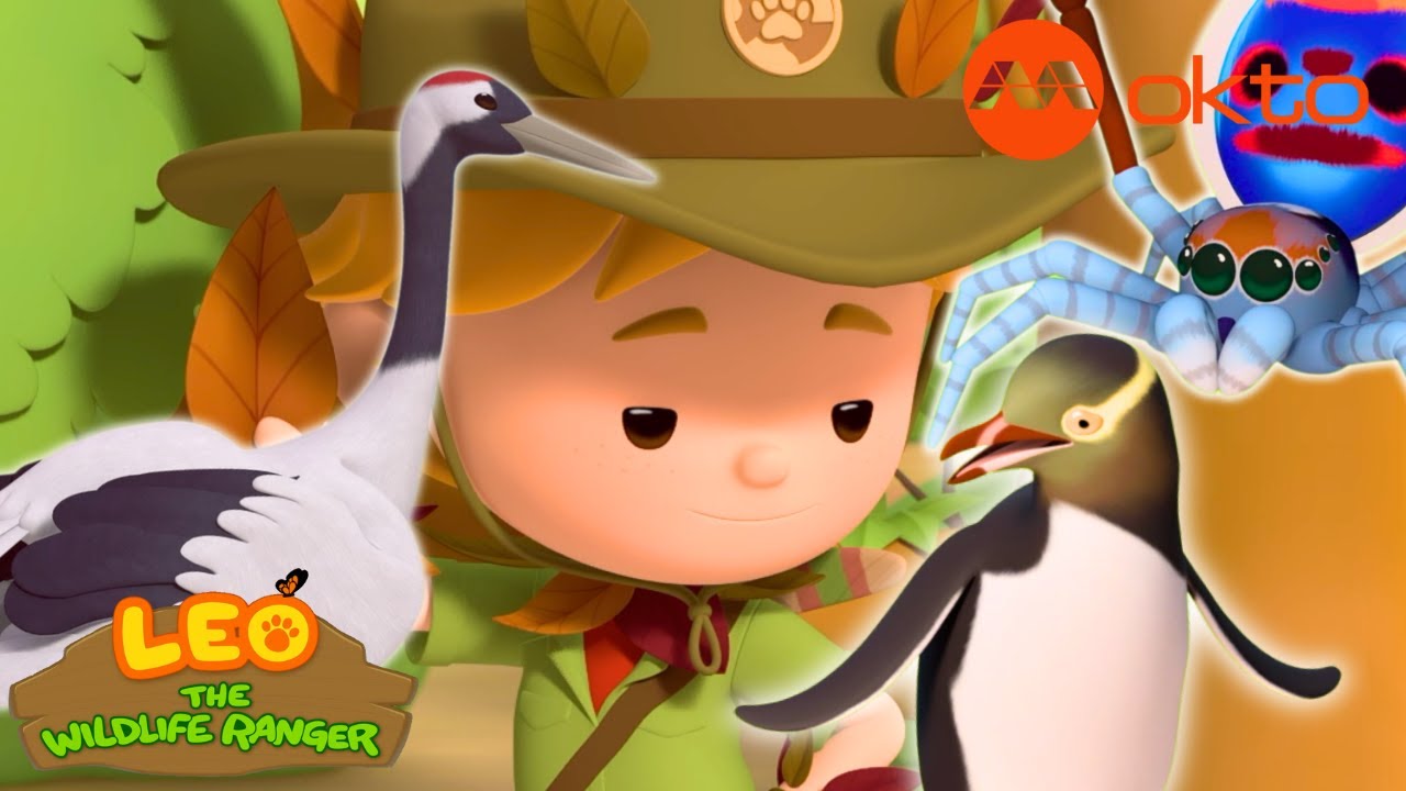 Save PEACOCK PENGUIN DRONE Adventure 🕷️🐧 | Leo Compilation | @mediacorpokto