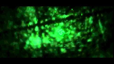 SELLFY SHOP OPEN! NO FREE INTROS I made this intro ( my own cc