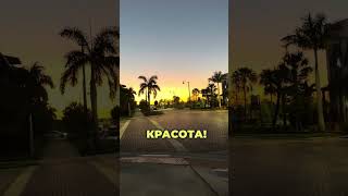Риелтор в Sarasota, North Port, Venice 941-441-5277