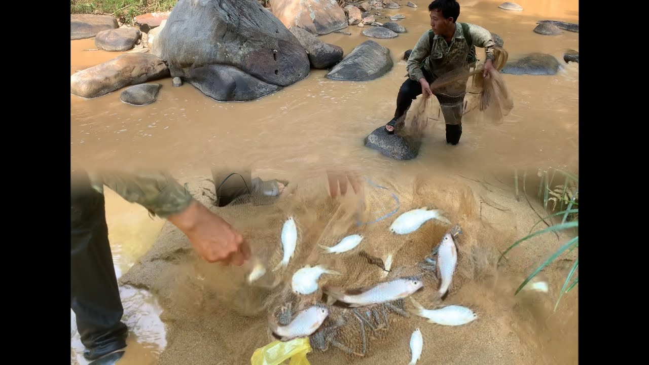 Journey to catch fish in the wild forest part 1 | survival - YouTube