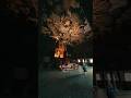 京都で最も古い禅宗寺院🇯🇵