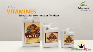 B-52 Advanced Nutrients - Themariashop