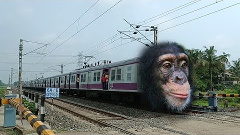 Mad Monkey Headed EMU Train Dangerous & Furious Moving Throughout Railgate